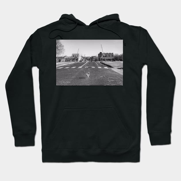 Why Did The Chicken Cross The Road.... - Black And White Hoodie by davidbstudios